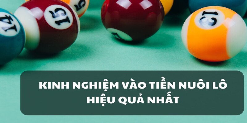 Đánh khung 3 ngày với số tiền hợp lý