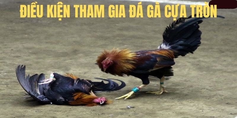 Điều kiện trước khi ra trận cần đáp ứng